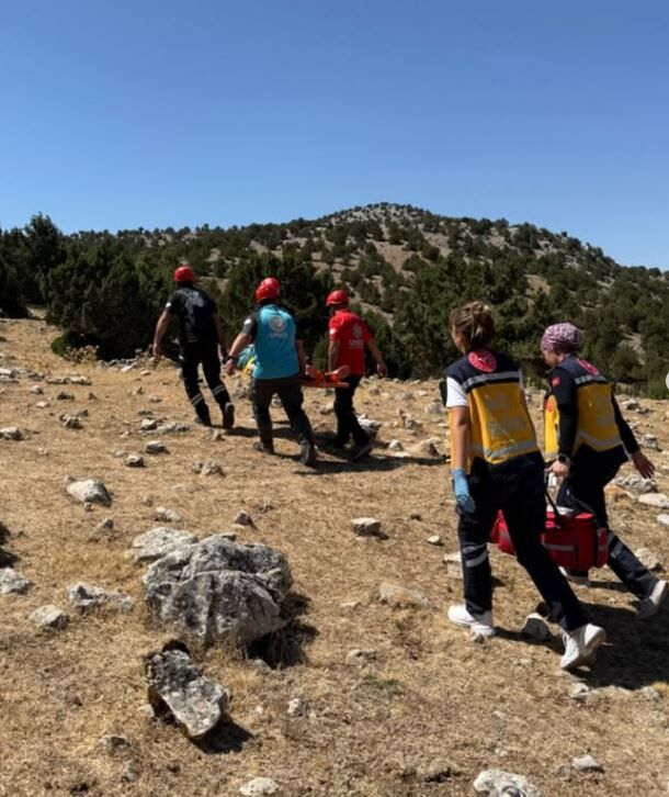 Ş L