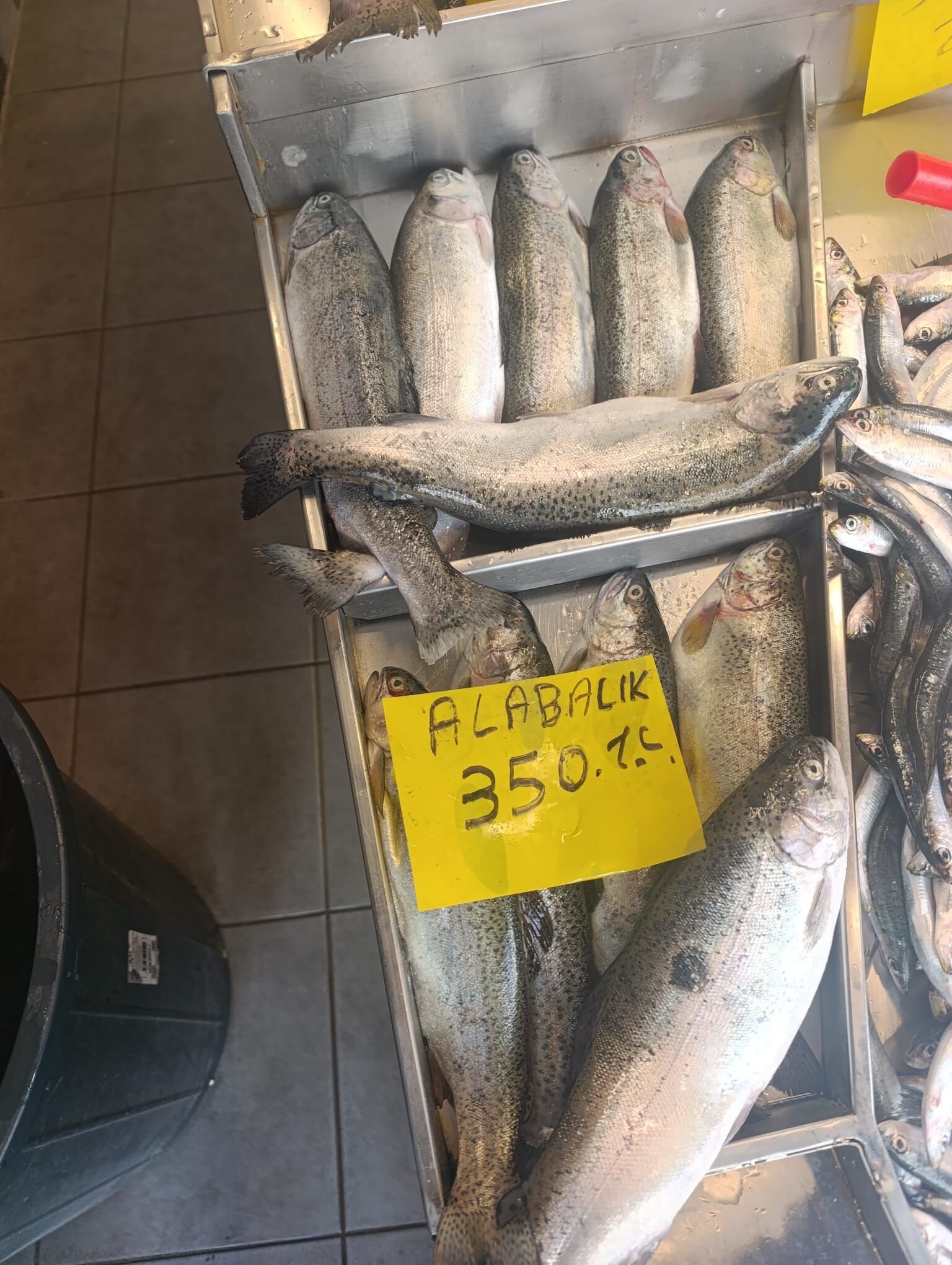 2Ab73598 7Cc4 4122 B185 F3403855C68C