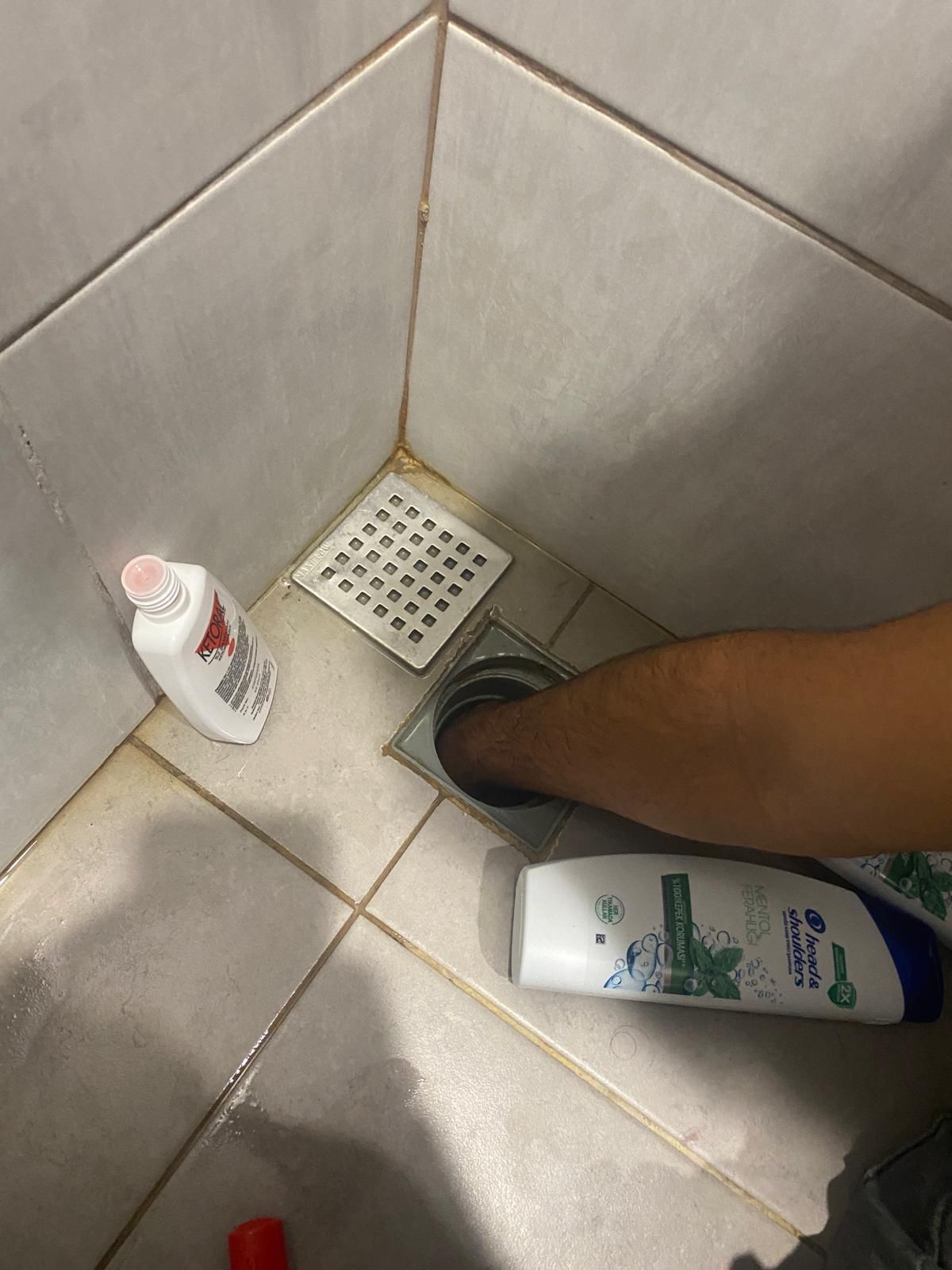 8B4255C0 8C25 4C41 9Dd7 65197541Bc76