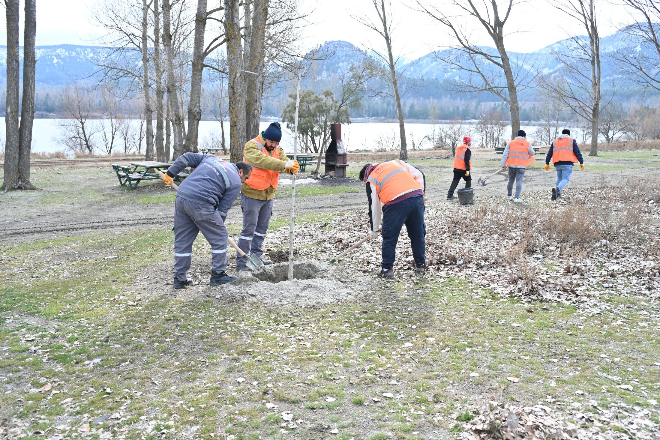 06 01 2026 Golcuk Tabiat Parki Fidan Dikimi (7)