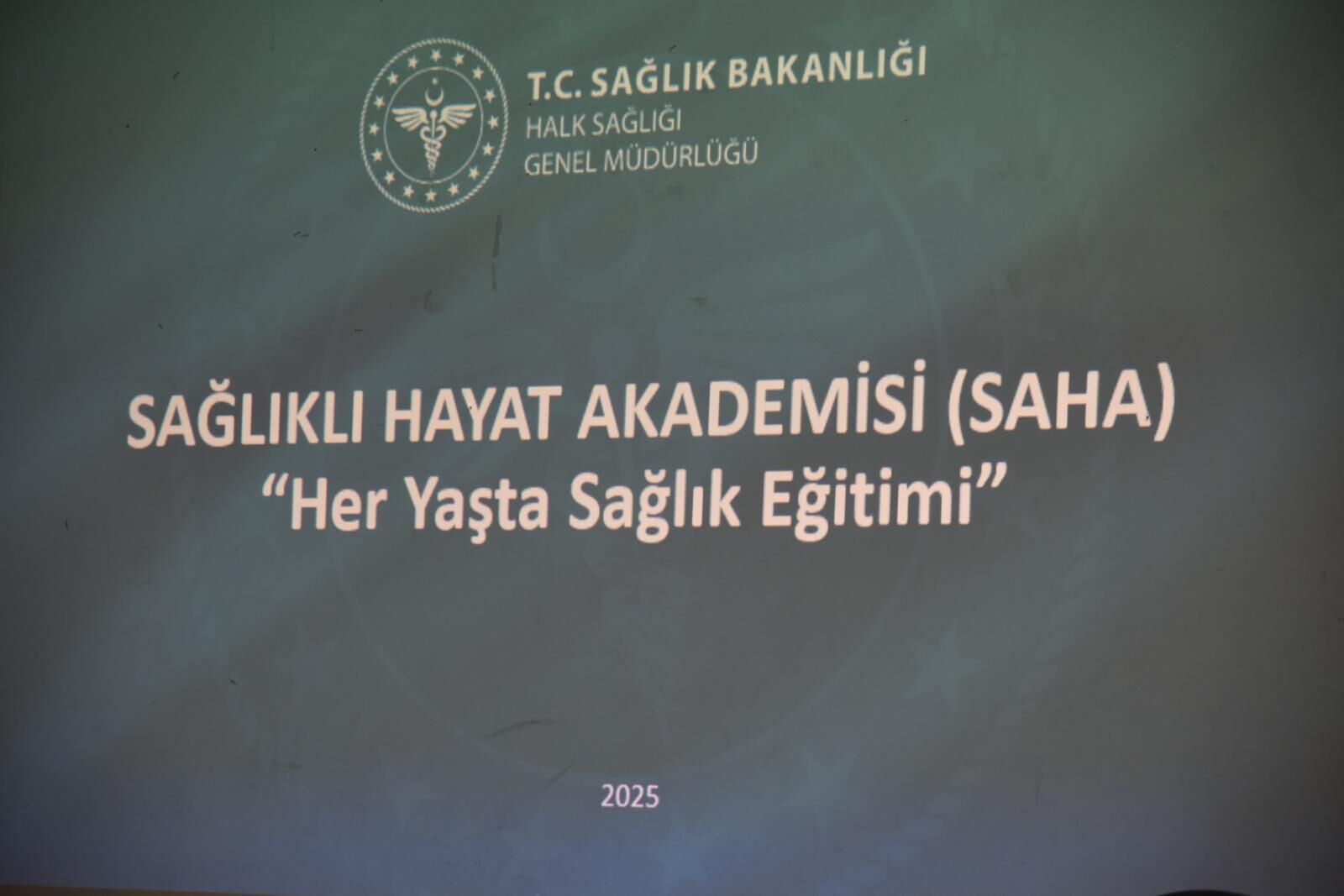 19A1Ac8D A11F 4C0C A1A2 4310Ffb0D83B