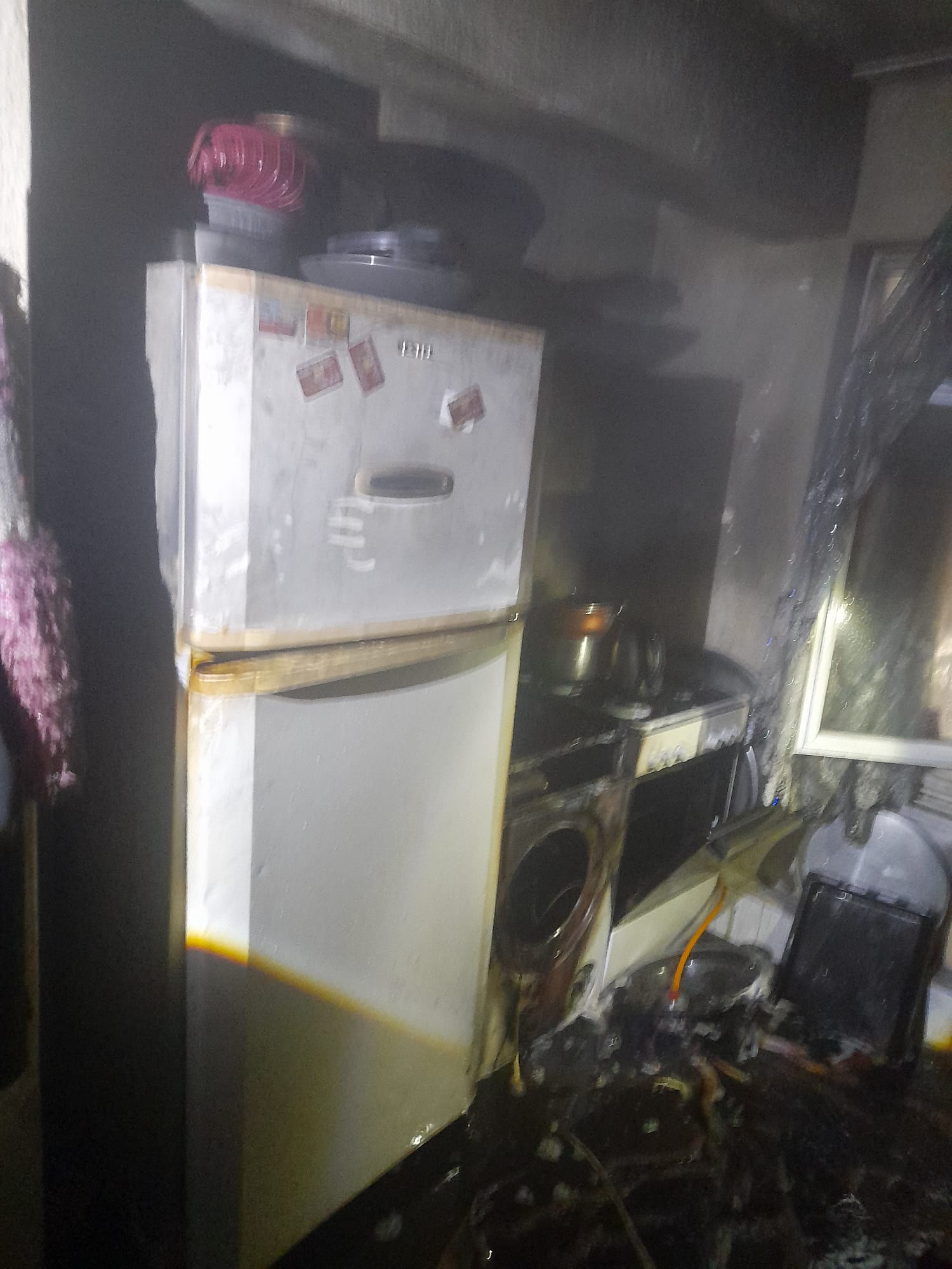 19901D4D 5D84 4C44 8Cff 76873C9B184D