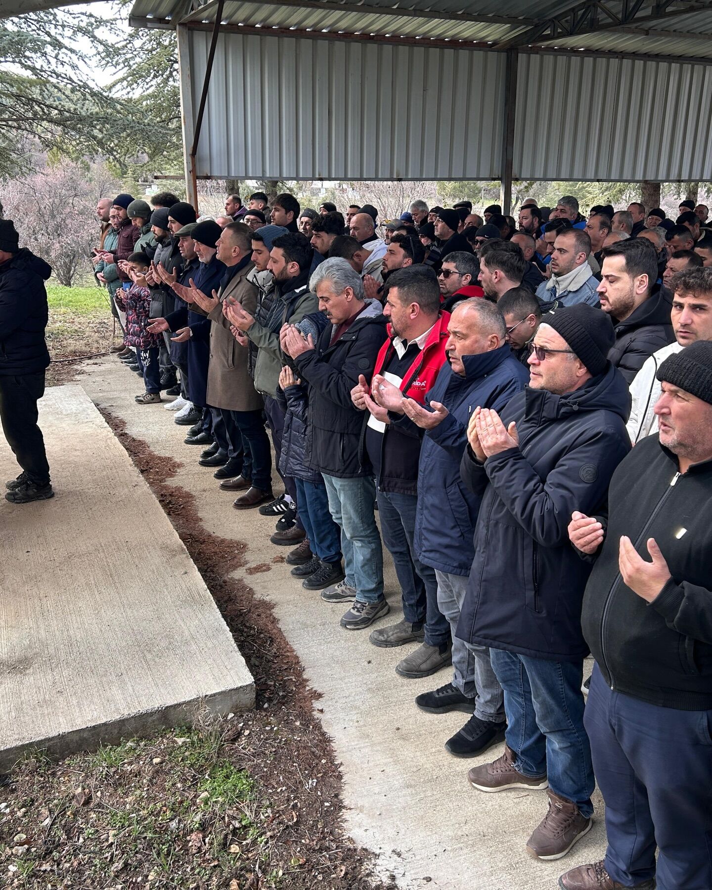 641320746 18054788186700083 5354601463342001884 N