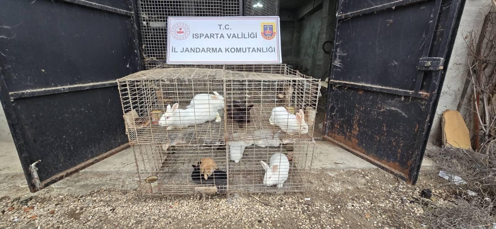 Basın Bülteni 2026 10 Resim