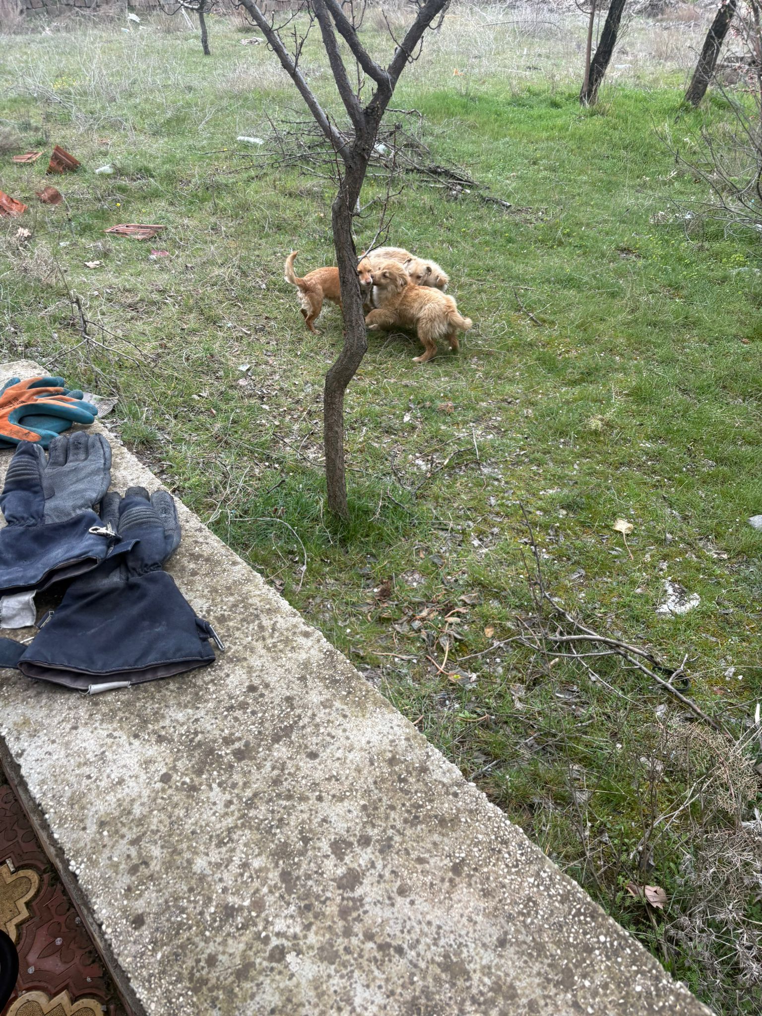 820Faf37 568A 476B 91Bf B81F01Ce223D