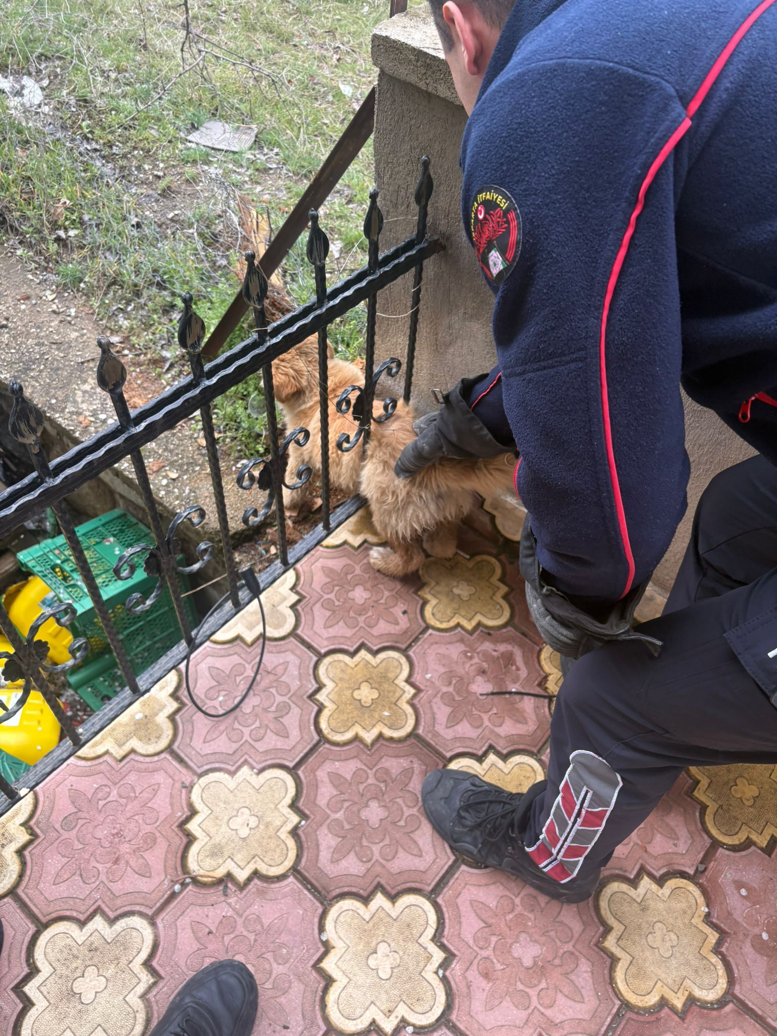 865Bad93 4A02 4856 9D62 Cf2760E15Db6