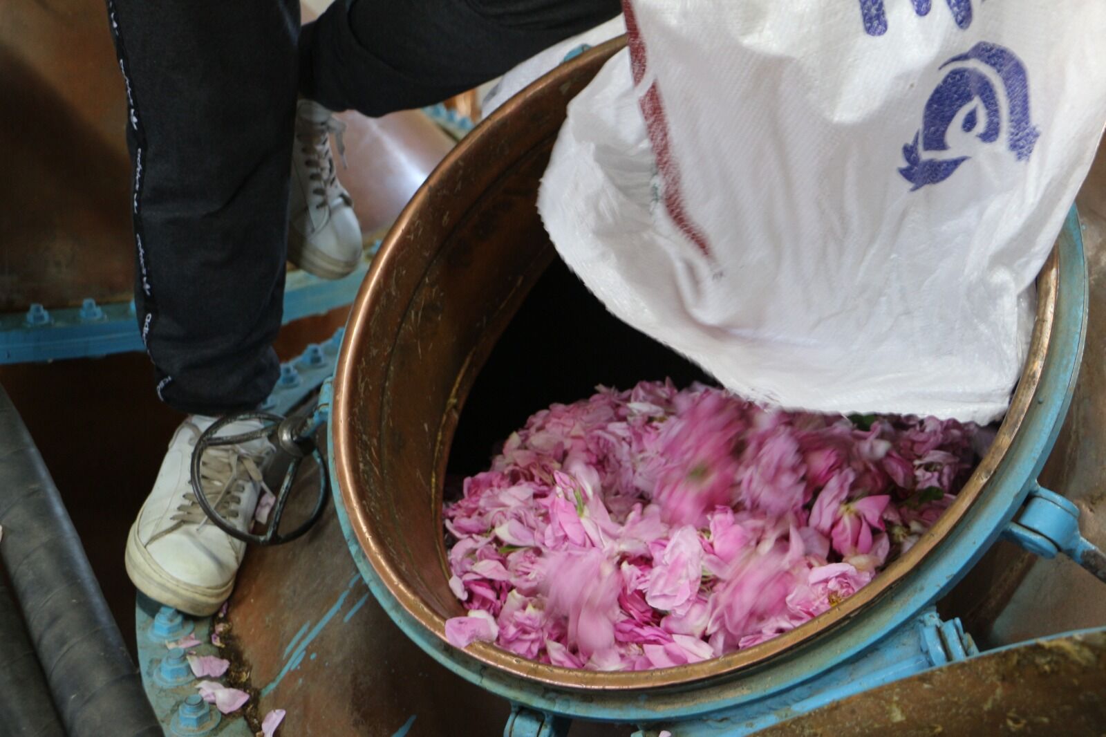 Whatsapp Image 2026 06 04 At 10.38.10 (4)-1