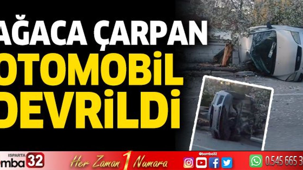 Ağaca çarpan otomobil devrildi - Bomba 32 - ISPARTA HABER, Isparta ...