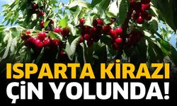 Isparta kirazı Çin yolunda!