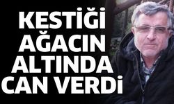 Kestiği ağacın altında can verdi