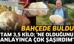 Bahçesinde 3,5 kiloluk mantar buldu
