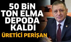 50 Bin ton elma depolarda kaldı