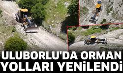 Uluborlu'da Orman Yolları Yenilendi
