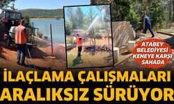 Atabey Belediyesi Keneye Karşı Sahada