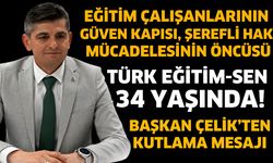 Başkan Çelik'ten 34'üncü yıl açıklaması