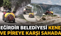 Eğirdir Belediyesi Kene ve Pireye Karşı Sahada