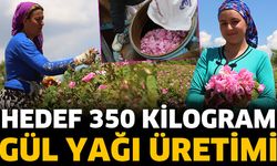 Hedef 350 Kilogram Gül Yağı Üretimi