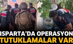 Isparta'da jandarmadan 'uyuşturucu' operasyonu