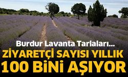 Burdur'da lavanta tarlalarına yılda 100 bin ziyaretçi