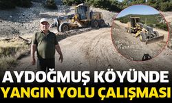 Aydoğmuş Köyünde yangın yolu çalışması