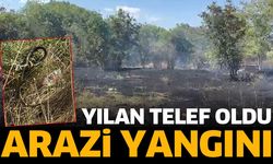 Arazi yangını korku yarattı