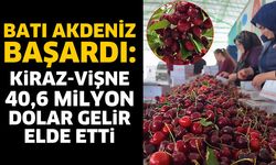 Kiraz-vişne ihracatından 40,6 milyon dolar gelir