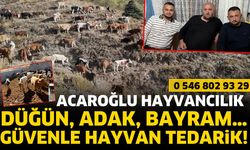 ACAROĞLU HAYVANCILIK her özel gününüzde yanınızda