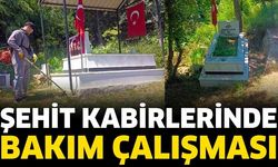 Şehit Kabirlerinde Bakım Çalışması