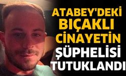Atabey'deki Bıçaklı Cinayetin Şüphelisi Tutuklandı