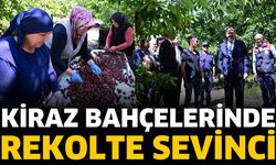 Vali Erin Kiraz Bahçelerinde İnceleme Yaptı