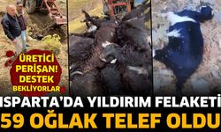 Isparta'da Yıldırım Felaketi! 59 Oğlak Telef Oldu