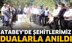 Atabey'de 15 Temmuz programı
