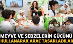 Meyve ve sebzelerin gücünü kullanarak araç tasarladılar