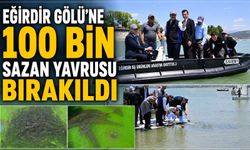 Eğirdir Gölü’ne 100 Bin Sazan Yavrusu Bırakıldı