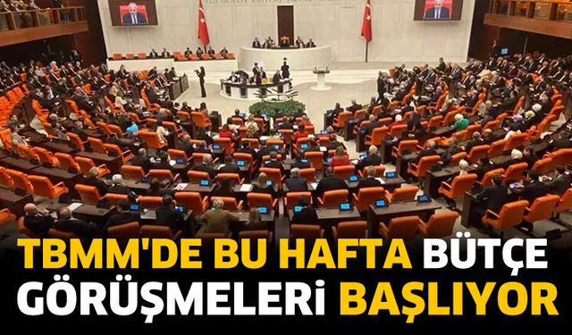 TBMM'de bu hafta bütçe görüşmeleri başlıyor