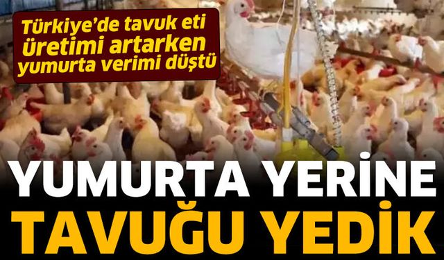 Yumurta yerine tavuğu yedik