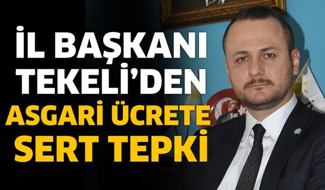 Başkan Tekeli'den sert tepki