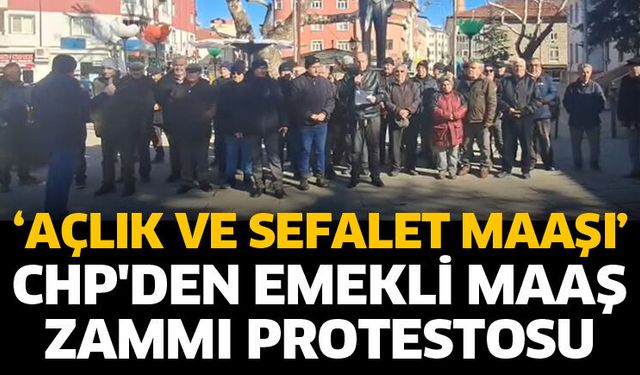 CHP'den emekli maaş zammı protestosu