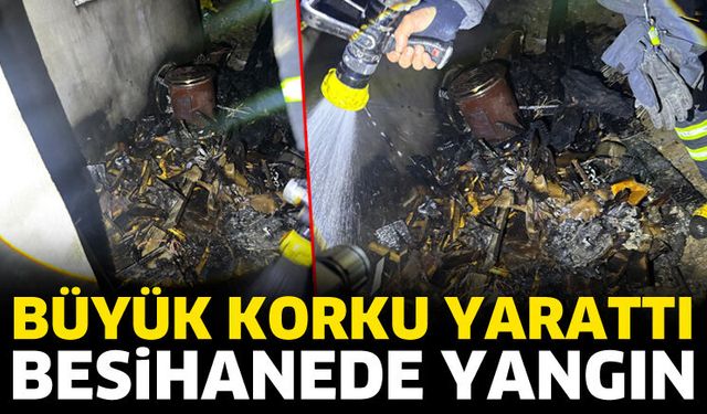 Besihanede yangın paniği