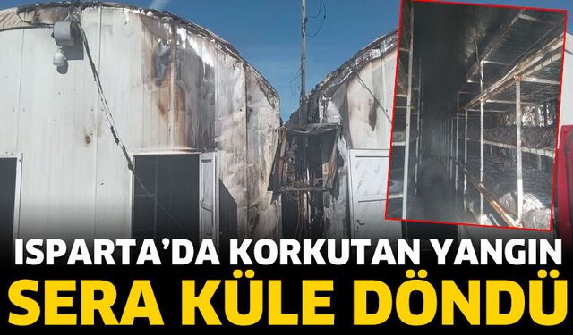Isparta'da korkutan yangın! Sera küle döndü