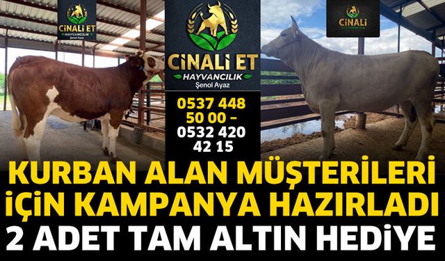 Cin Ali Et Hayvancılık'ta kurbanlıklar satışa hazır
