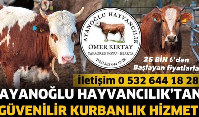 Ayanoğlu Hayvancılık’tan Güvenilir Kurbanlık Hizmeti