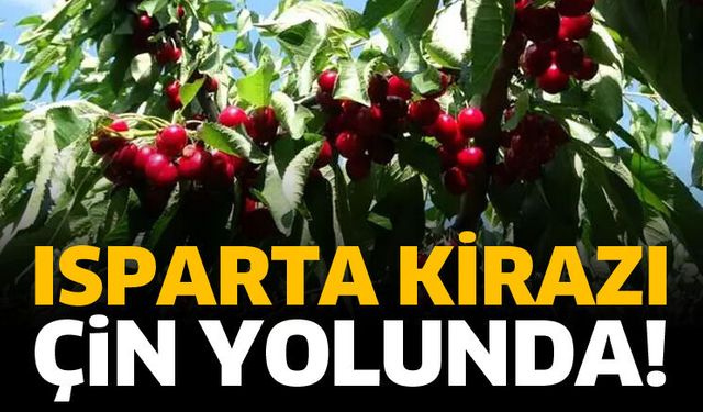 Isparta kirazı Çin yolunda!