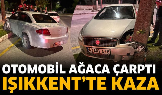Otomobil ağaca çarptı