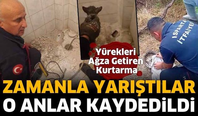Yürekleri Ağza Getiren Kurtarma