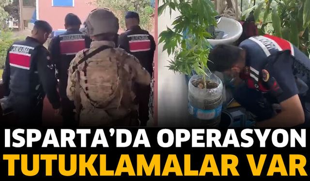 Isparta'da jandarmadan 'uyuşturucu' operasyonu