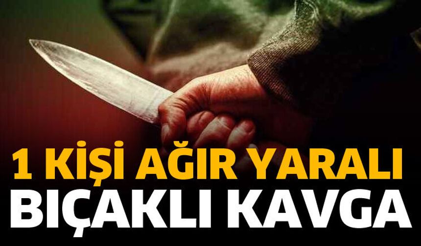 Isparta’da bıçaklı kavgada 1 yaralı