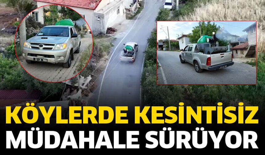 Köylerde haşereyle kesintisiz mücadele sürüyor