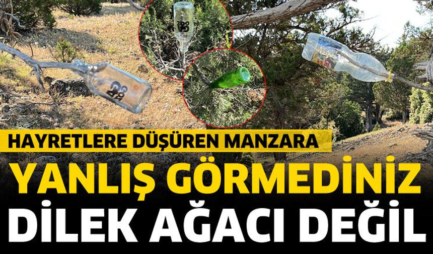 Yok artık! dedirten olay
