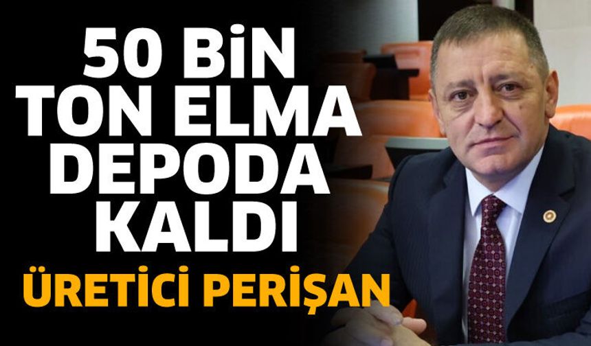 50 Bin ton elma depolarda kaldı